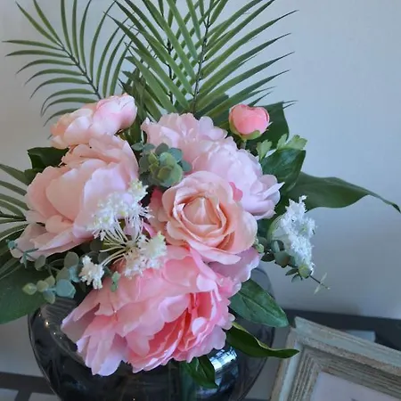 Appartement Maurits La Haye